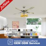 Support Dimmer 52 Inches Stainless Steel Lighting Ceiling Fan with AC Motor Pure