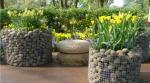 Square Hole Welded Wire Mesh Roll for Cage Long Lasting and Affordable