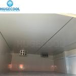 Assembled COLDROOM21 Customized Size Cold Storage Freezer/Chiller Room with