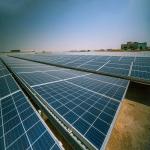 OEM / ODM Solar Ground Mounting Systems Plant Pile Natural Color