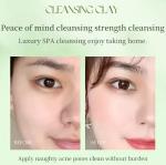 Green Tea Clay Face Mask Skin Care Pore Shrinking Blackhead Remover Face Mask