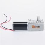 Faradyi Customized 12V 24V 5RPM 16RPM Electric Brushless Mini Dc Worm Gear