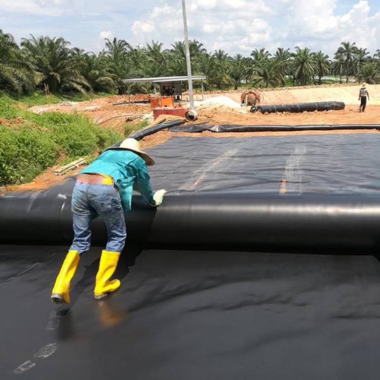 Double Smooth HDPE Geomembrane for Fish Ponds 1.25mm/2mm/4mm Thickness Shandong Exporter