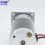 Tubular 24 Volt 130 Rpm DC Spur Gear Motor 20 Watts OEM ODM