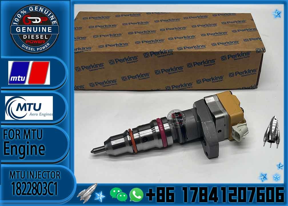 1306 Series Diesel Fuel Injector 2593597C91 AP63812BN BN1830691C1 1822803C1