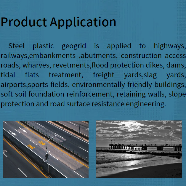 Steel Plastic Geogrid for Road Construction High Tensile Strength and Acid Resistant