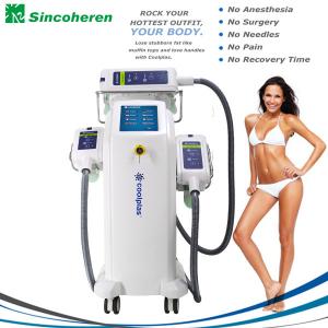 China 3 Treatment Handles Fat Freeze Treatment / Slimming Machine factory