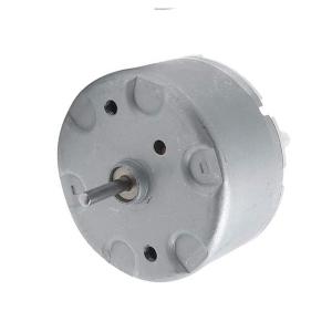 China RF-500TB 6V 12V High Torque Brushed DC Motor 2200RPM 3600RPM For Revolving Warning Lamp factory
