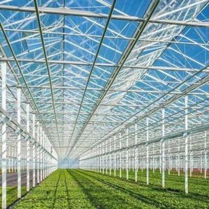 Venlo Type Glass Greenhouse Customization with External Shading System