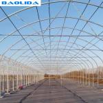 Green House Metal Frame Fruits With Ventilated PC Board Design Tunnel Greenhouse