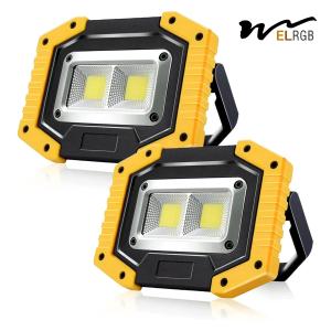 China 30W 1500LM Rechargeable Portable Flood Light Outdoor Working Light For Camping factory