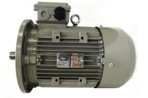 China 0.09kw-11kw Ms Aluminum Casing IEC Standard Motor , Three Phase Asynchronous Motor factory