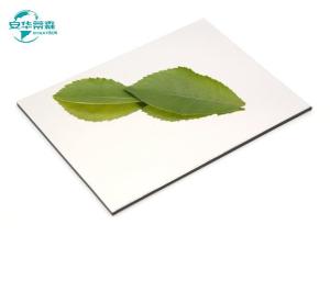 China 2440mm Length Mirror ACP 1220mm Width For Long Lasting Durability Solutions factory
