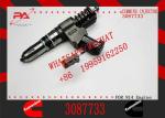 Excavator Parts N14 Engine injectors 3411766 3087733 3083846 3095086 Fuel
