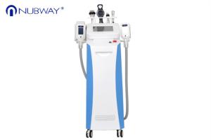 China The professional cool shaping body slimming machine cryotherapy lipo freeze lipo cryolipolysis factory