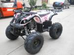 Air Cooled 125CC Youth Racing ATV Electric Start ATV 9500r/Min