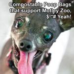 Poop Bag Recycled 9x13 pet products 2020 doggie biodegradable poo bags scent dog