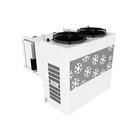 Black Refrigeration Condensing Unit TAJ4519 LTAJ4519EHR