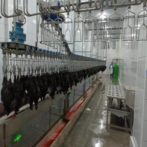 China Streamlined Semi Auto Slaughter Machine Small Scale Poultry Processing Equipment factory