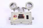 Ip66 Alloy Cree Explosion Proof Led Emergency Light