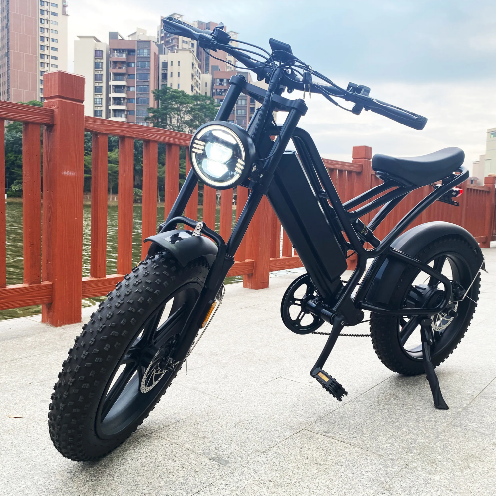 1000W 20 Inch Electric Fat Tire Bike 48V 16Ah Full Suspension Electric Bicycle