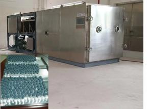 China Vacuum Freeze Dryer Pharmaceutical Industry Electric Heating factory