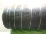 Fiberglass roll insect screen factory price