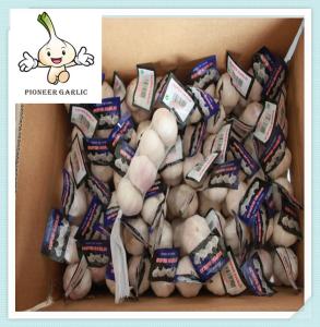 China Garlic - Small and Bulk Orders - Contact Us for Free Samples factory