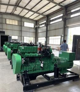 China Industrial Backup Emergency 250KW 300KVA Natural Gas Powered Electric Generator Set factory