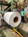 0.50*1250 European Market Painted Steel Coils PE paint 10 Years Warranty Z100