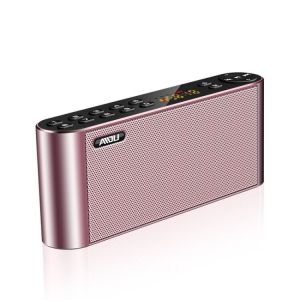 Bluetooth speaker with the  TFcard, voice prompt, call function, dust prevention, radio function