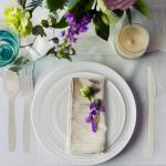 Dessert 70th 50th 90th Birthday Christmas Themed Party Paper Plates