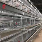 96 Birds Poultry Battery Cage System Broiler Automatic Egg Hens A Type Rose