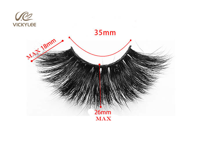 Natural Stereo Fluffy 19mm Hybrid Lash Extensions