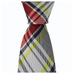 promotional silk Necktie