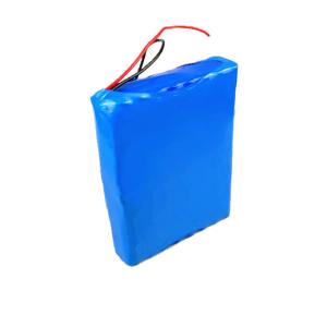 China Deep Cycle 480Wh 24V 20Ah Lithium Ion Battery Pack factory