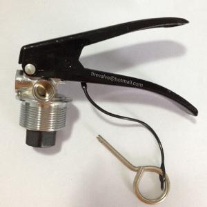 China 5kg indian valve for DCP extinguisher factory
