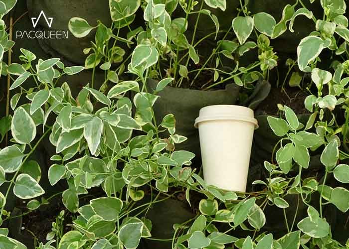 Various Sizes Disposable Paper Takeaway Cups For Hot Coffee Drink