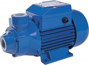 China 100% Copper Core	Peripheral Water Pump 0.5HP 0.37KW Class F Insulation For Home Water factory