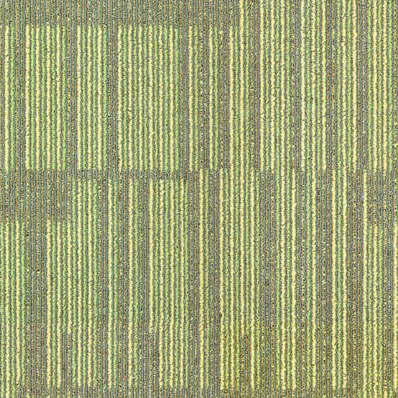 modern Hotel carpet