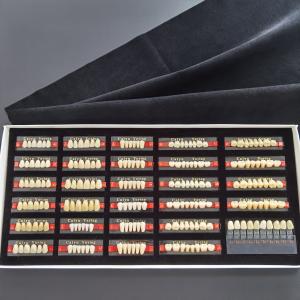 China Two Layers Dental Acrylic Resin Teeth Polymer Form 1 Heraeus Composite Denture factory