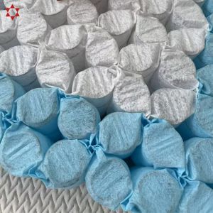 Factory Customization Pocket Coil Mattress Spring Double Layer Pocket Spring
