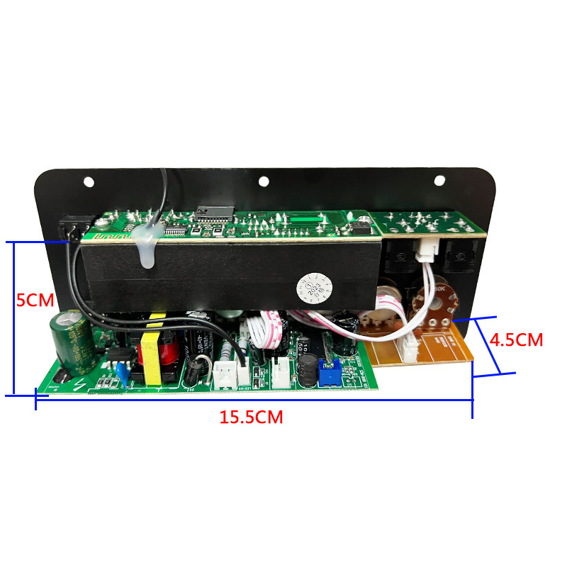 D10 BT Amplifier audio board for 12V 24V dartzeel Mono Subwoofer Amplificador Karaoke