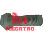 Structural Bolt