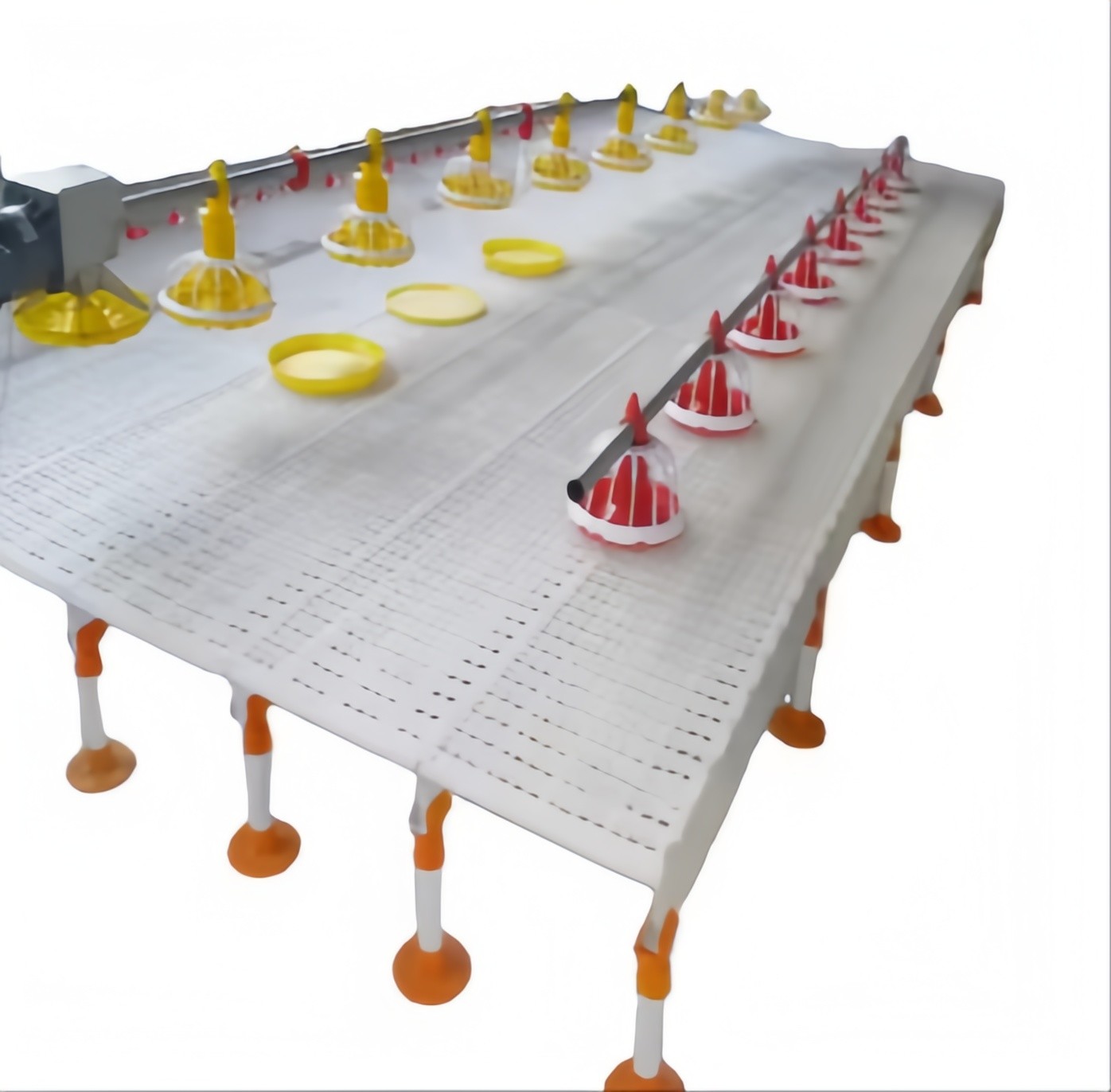 Easy Clean Plastic Slatted Floor Poultry House Customized Color