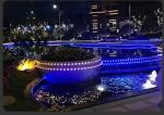 Colorful 12V Outdoor Waterproof LED Point Lights For Christmas Outdoor