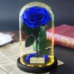 Preserved Rose Flower The Little Prince for Lasting Decoration