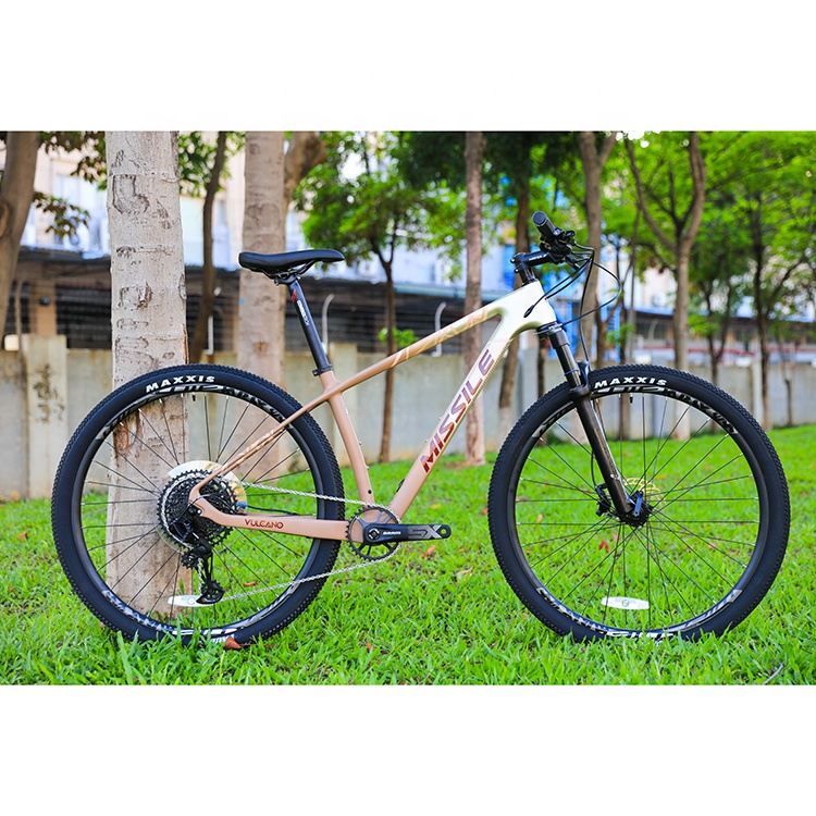 Men's 29 Inch Mountain Bike with YBN S12S Chain and Carbon Fibre Frame