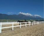 White Pvc Farm Plastic Horse Fencing Height 1.5m 1.8m