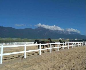 China Safety White Vinyl Fence Heavy Duty 2 Rail Horse PVC Farm Fence factory